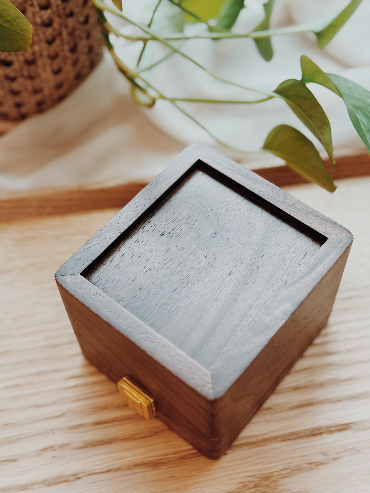 TIME CAPSULE | For 1 Timepiece