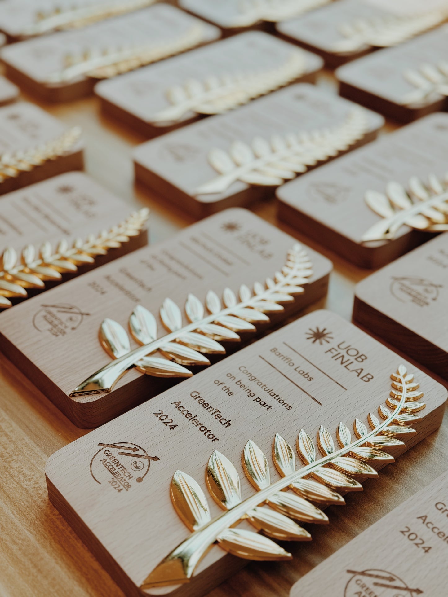 Eco Sustainable Award Plaque Engraved