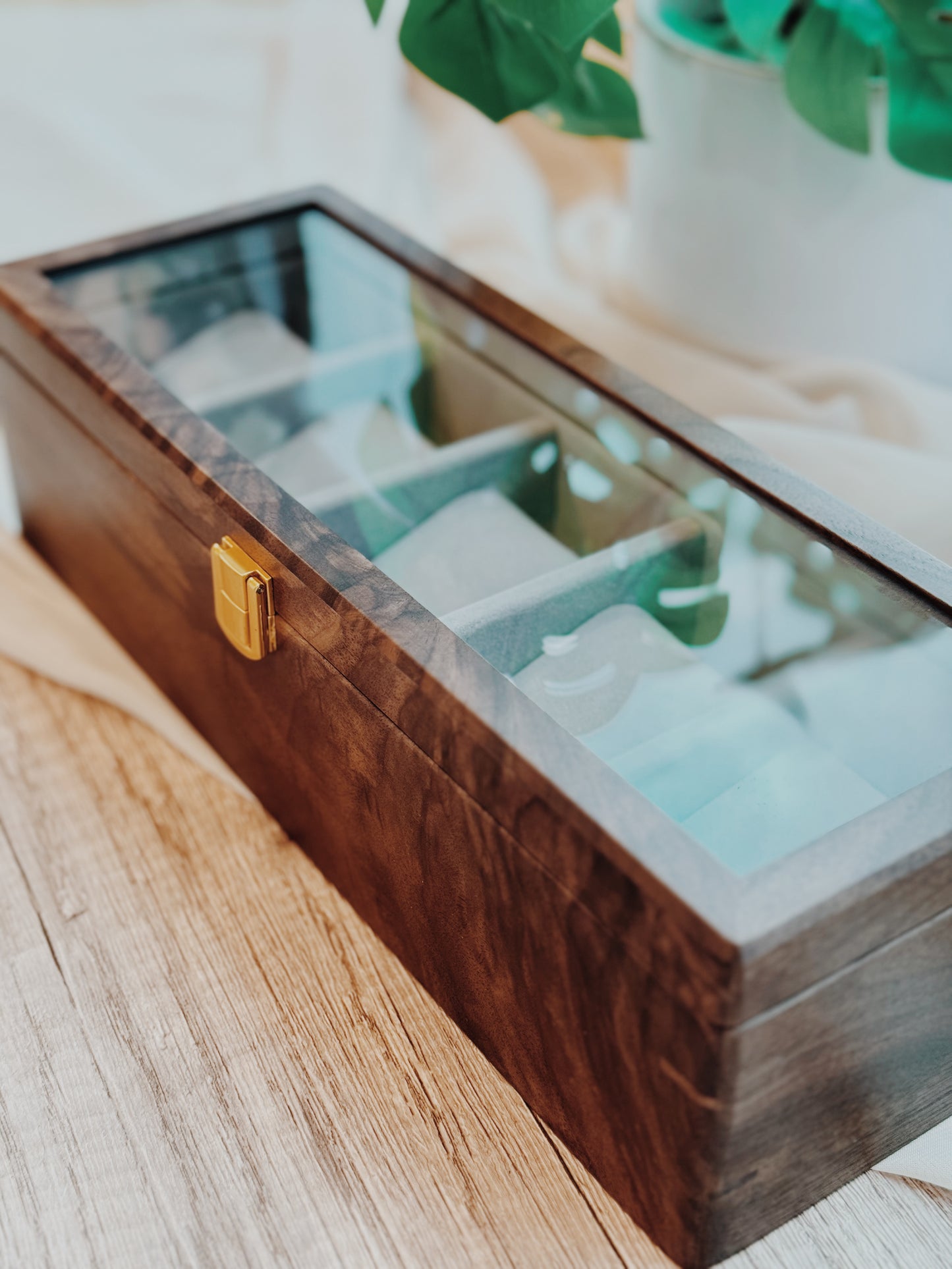 TIMEVAULT | For 5 Timepieces