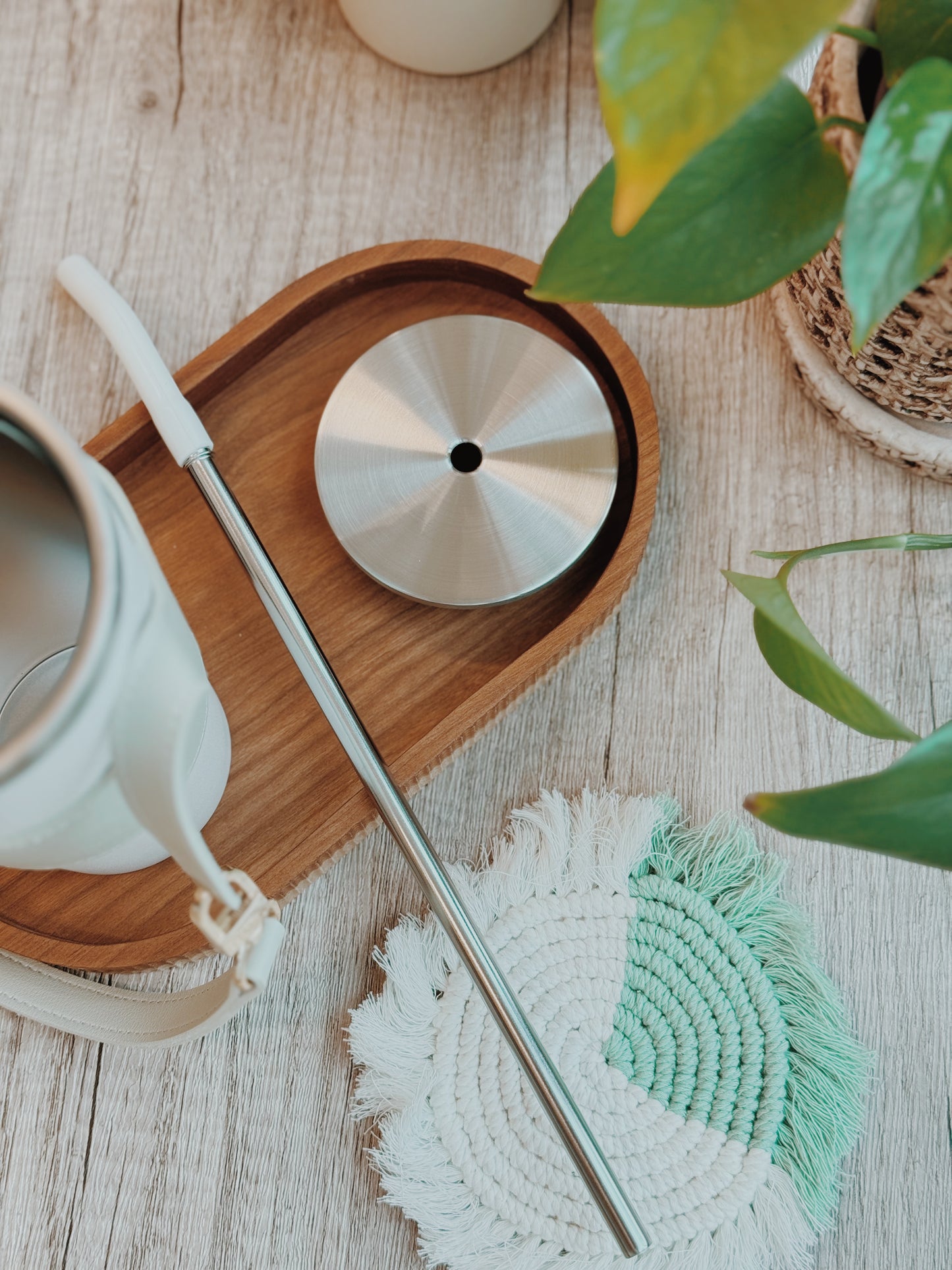 VENTI Cold Brew | Sip Tumbler