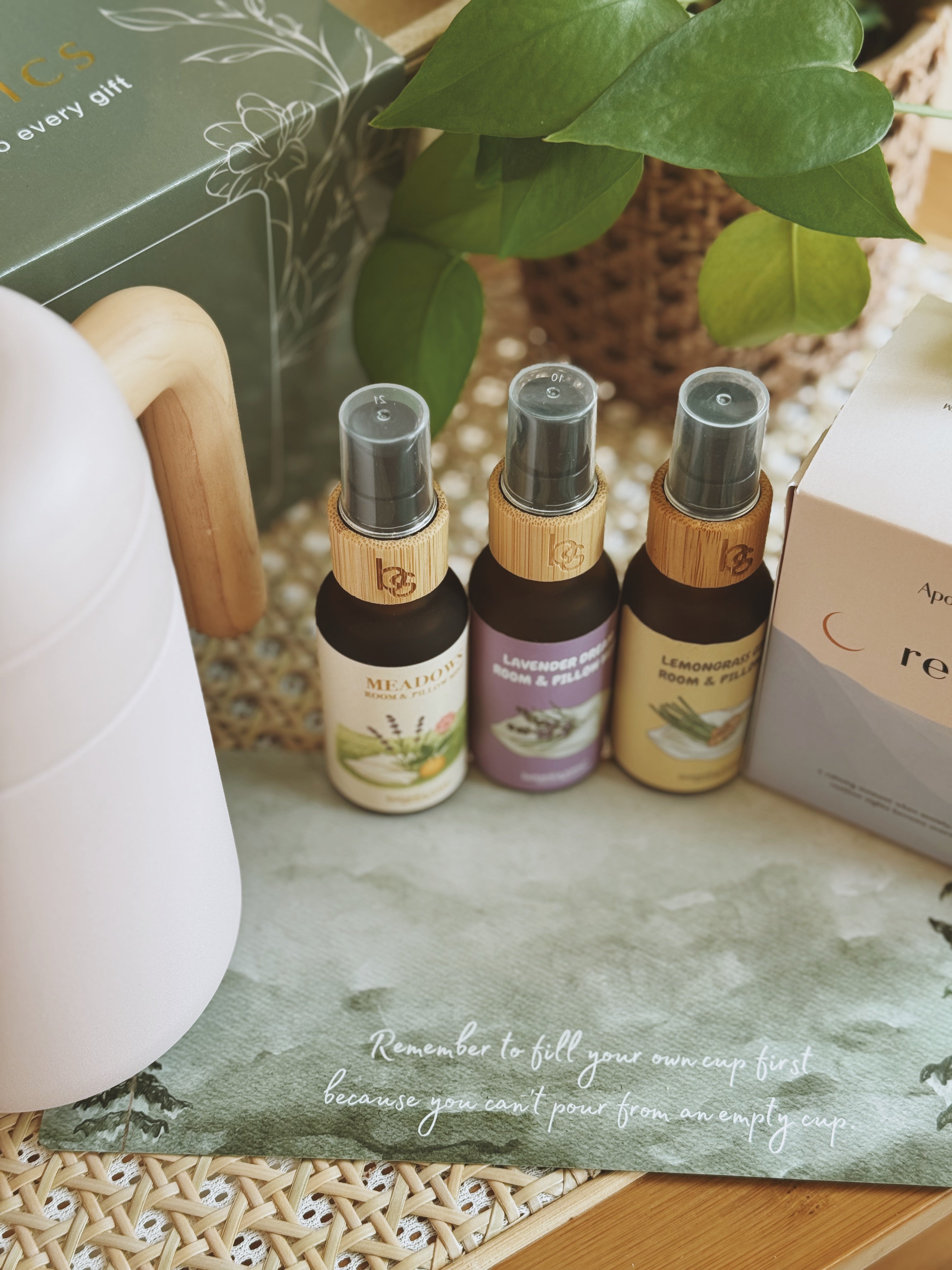 FOREST | A Wellness Bundle For Her Gentle Hours