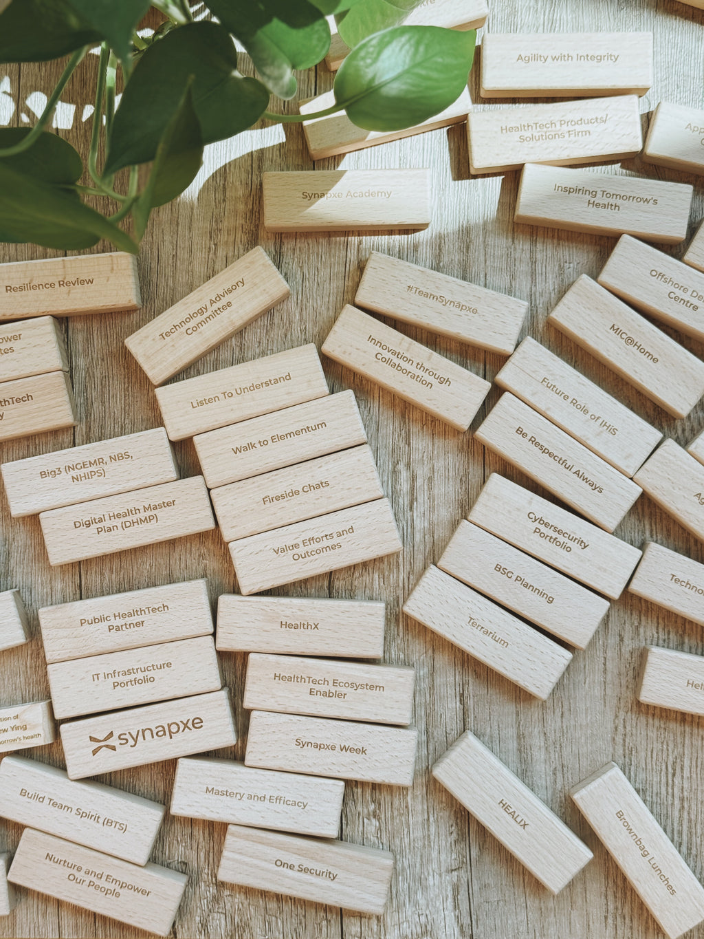 STACKED | Wooden Jenga Set [PO]
