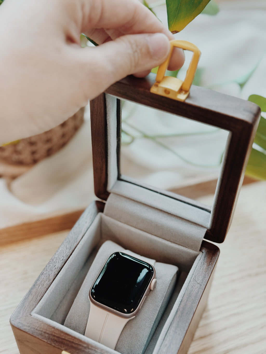TIME CAPSULE | For 1 Timepiece