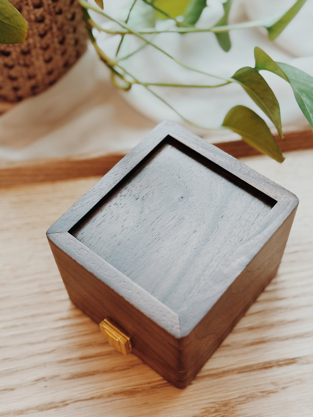 TIME CAPSULE | For 1 Timepiece