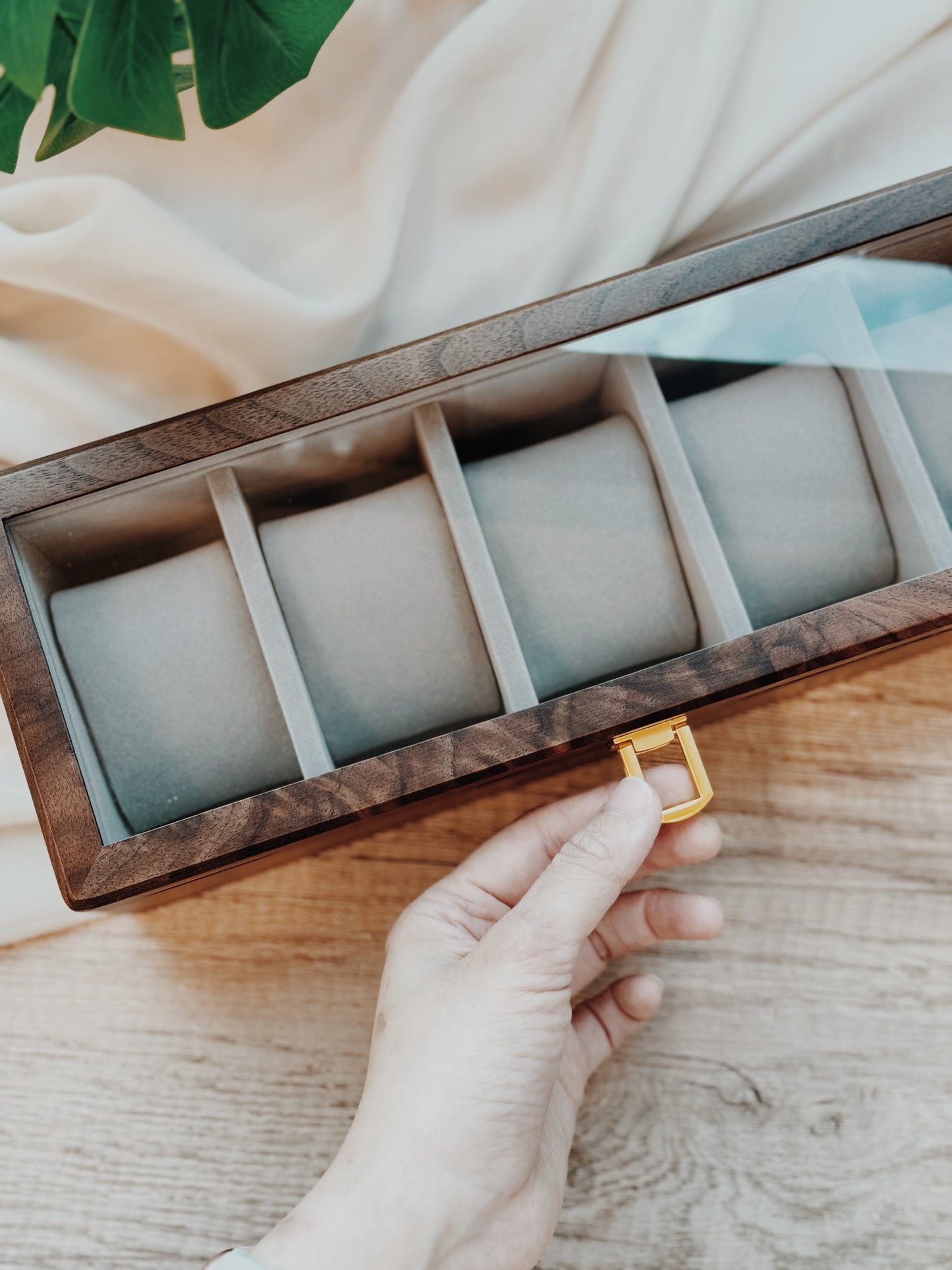 TIMEVAULT | For 5 Timepieces