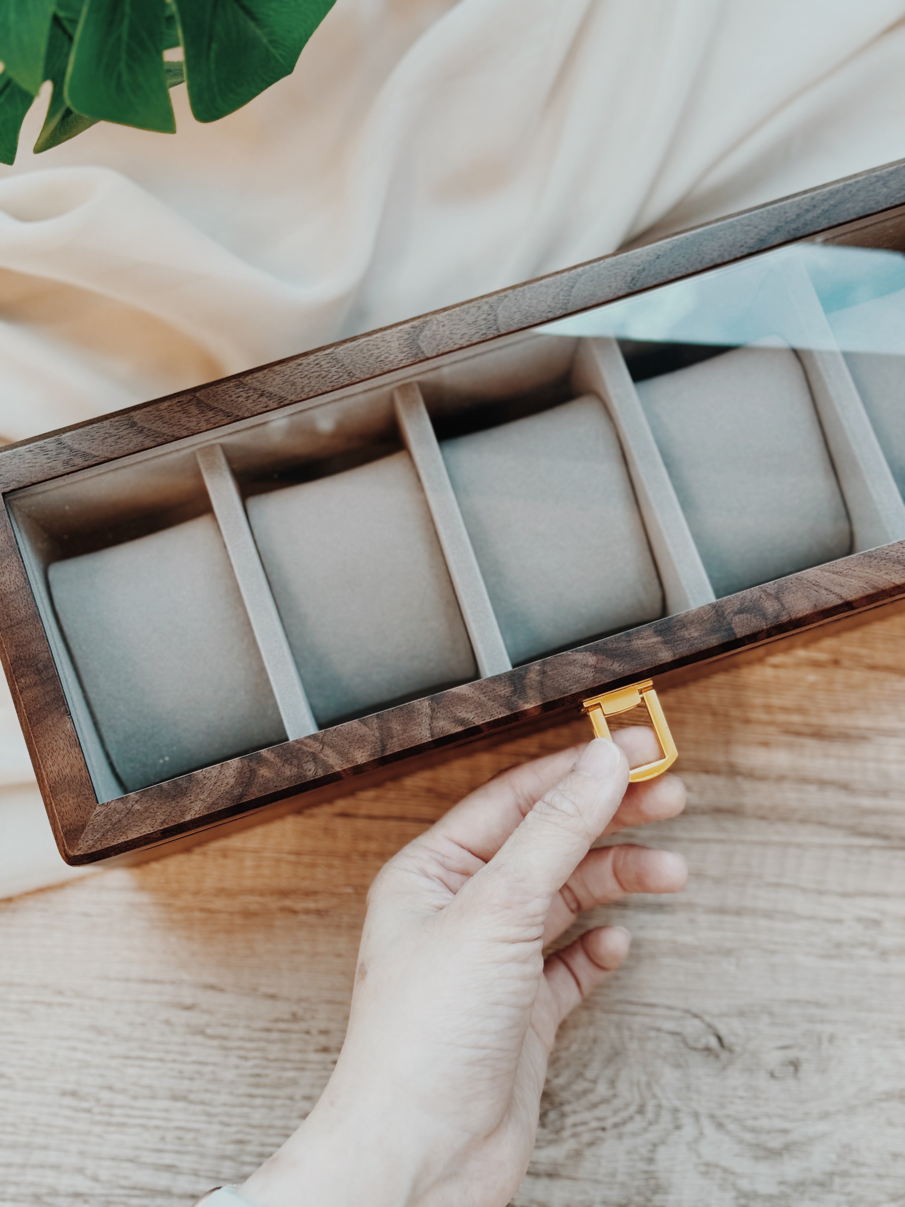 TIMEVAULT | For 5 Timepieces