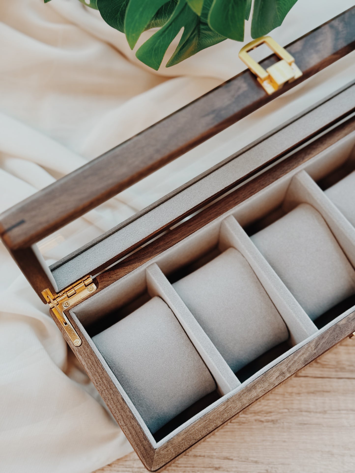 TIMEVAULT | For 5 Timepieces