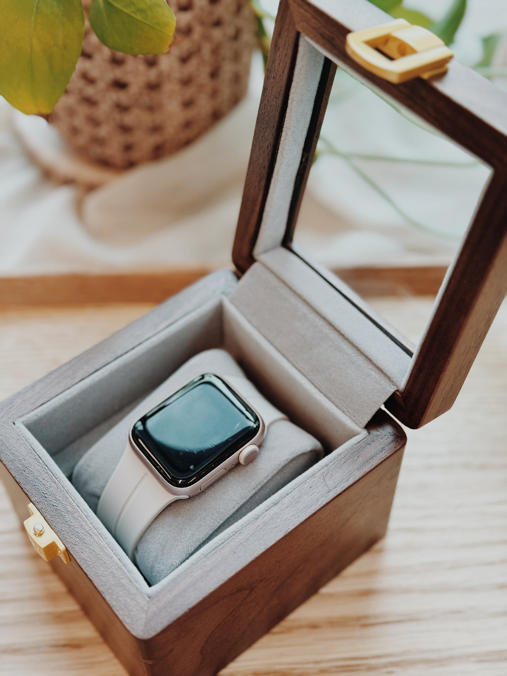TIME CAPSULE | For 1 Timepiece