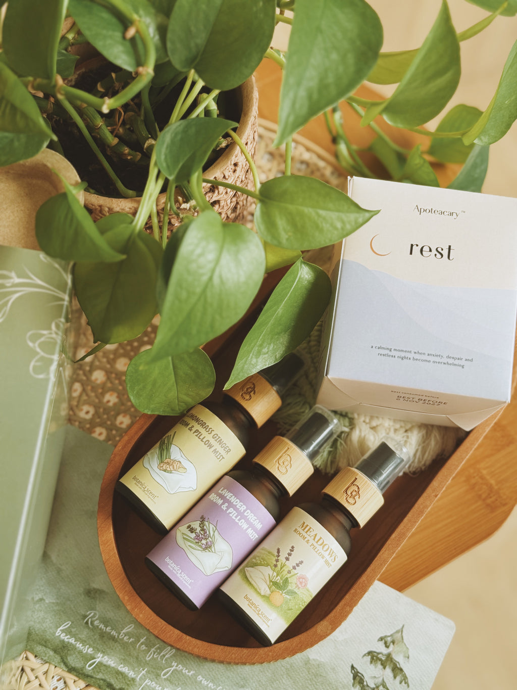 FOREST | A Wellness Bundle For Her Gentle Hours