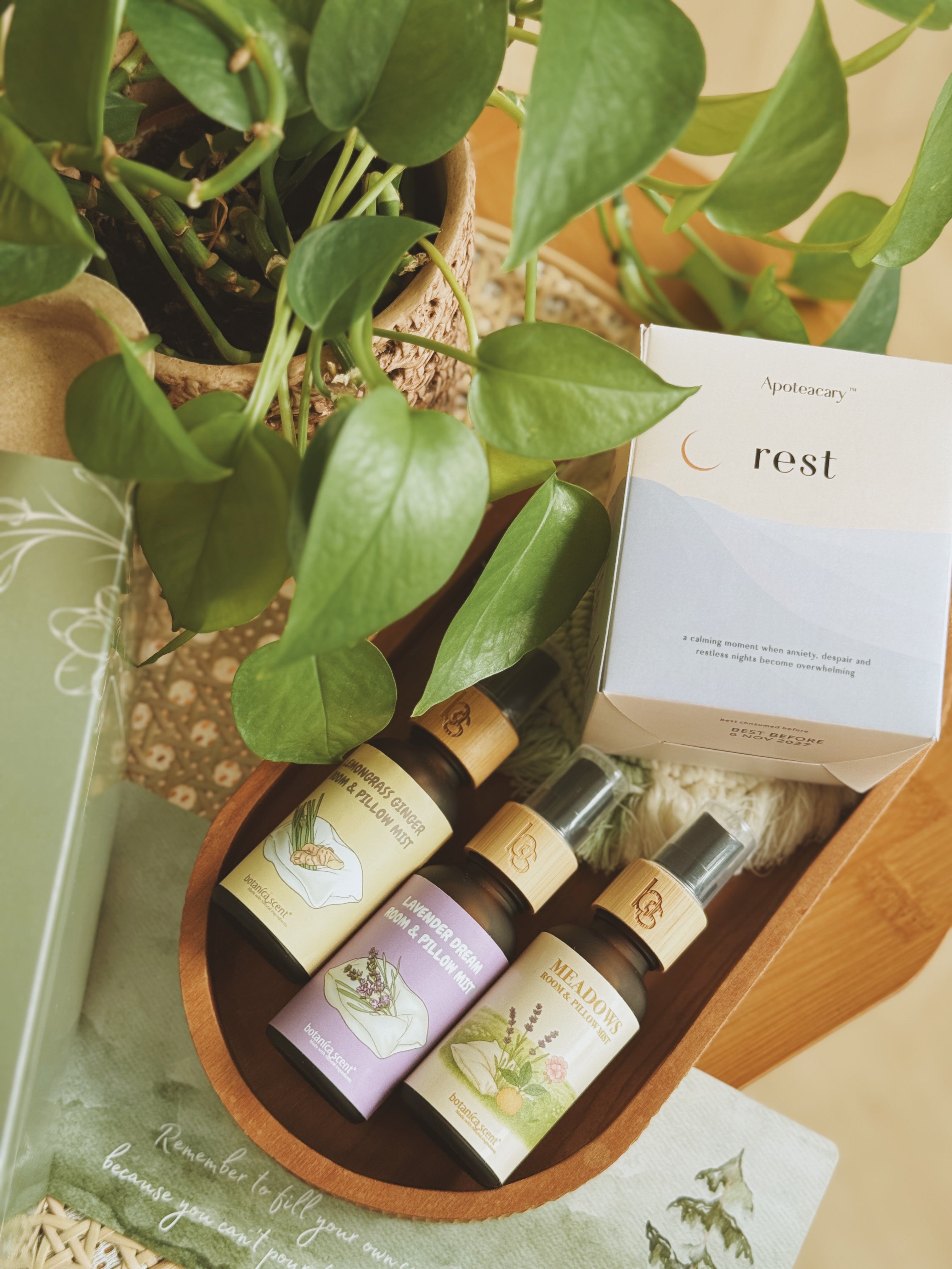 FOREST | A Wellness Bundle For Her Gentle Hours