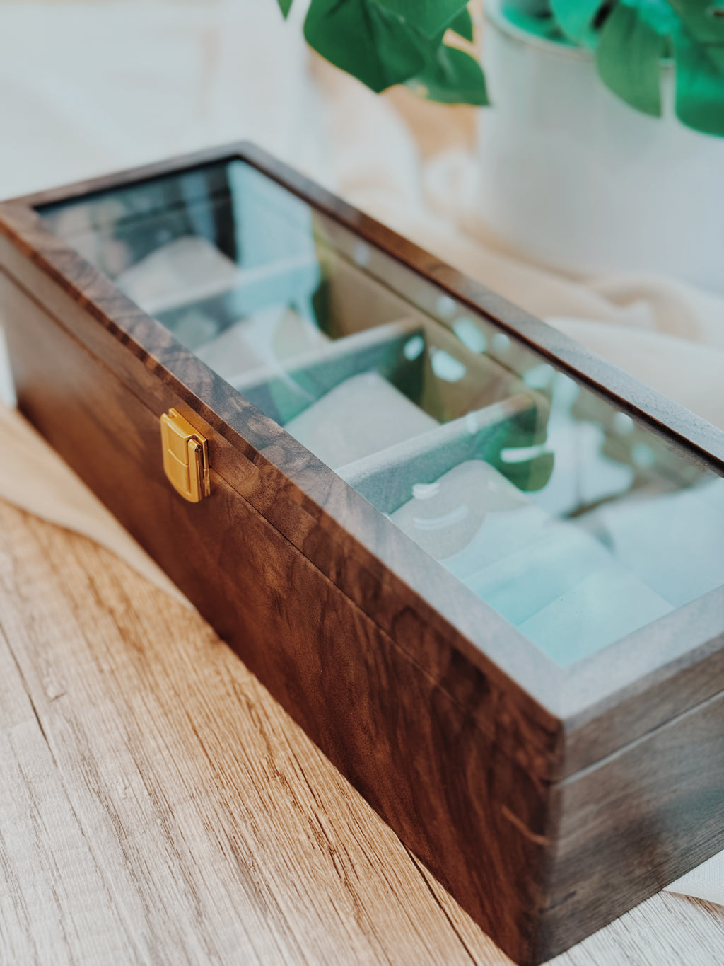 TIMEVAULT | For 5 Timepieces