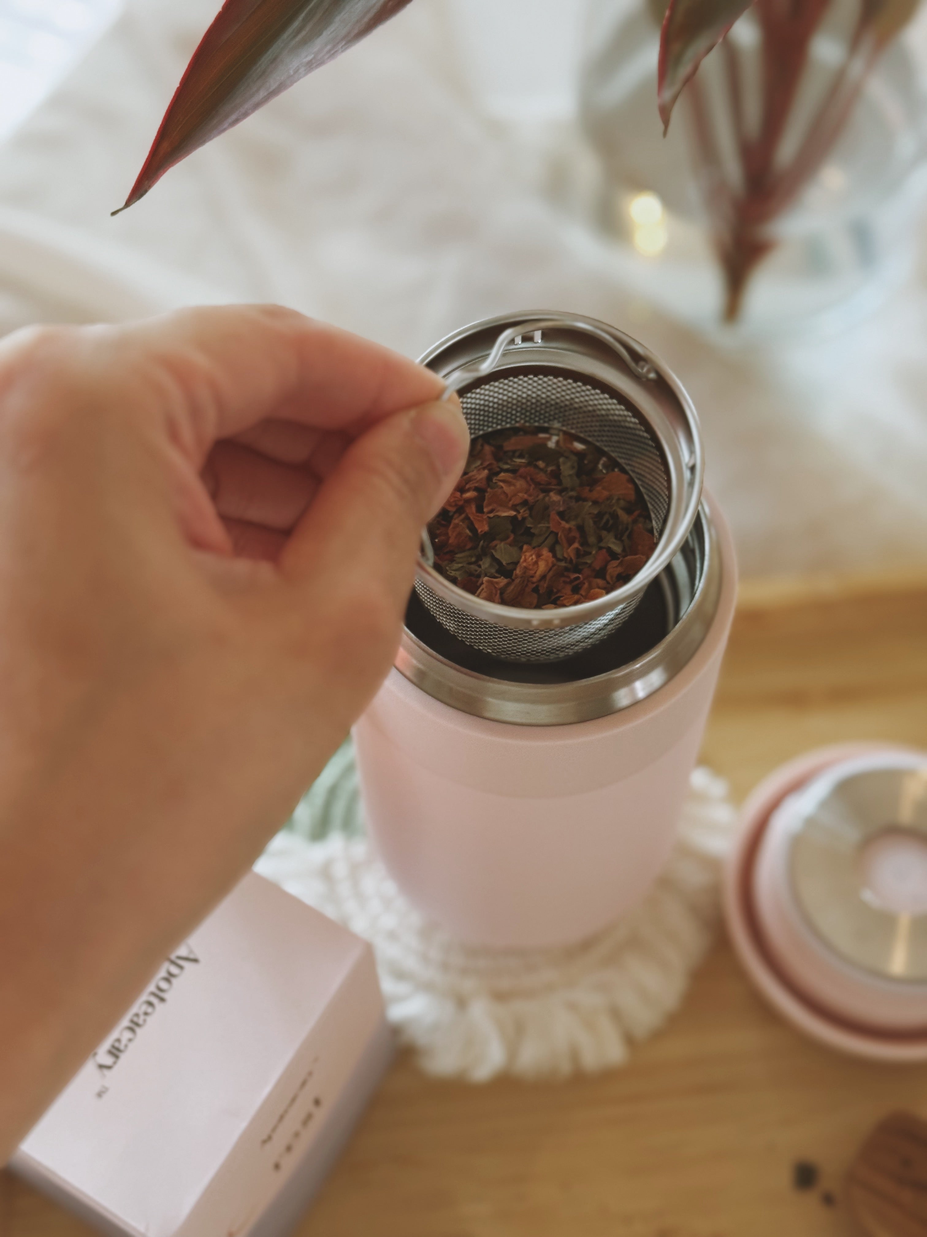 FOREST | A Wellness Bundle For Her Gentle Hours