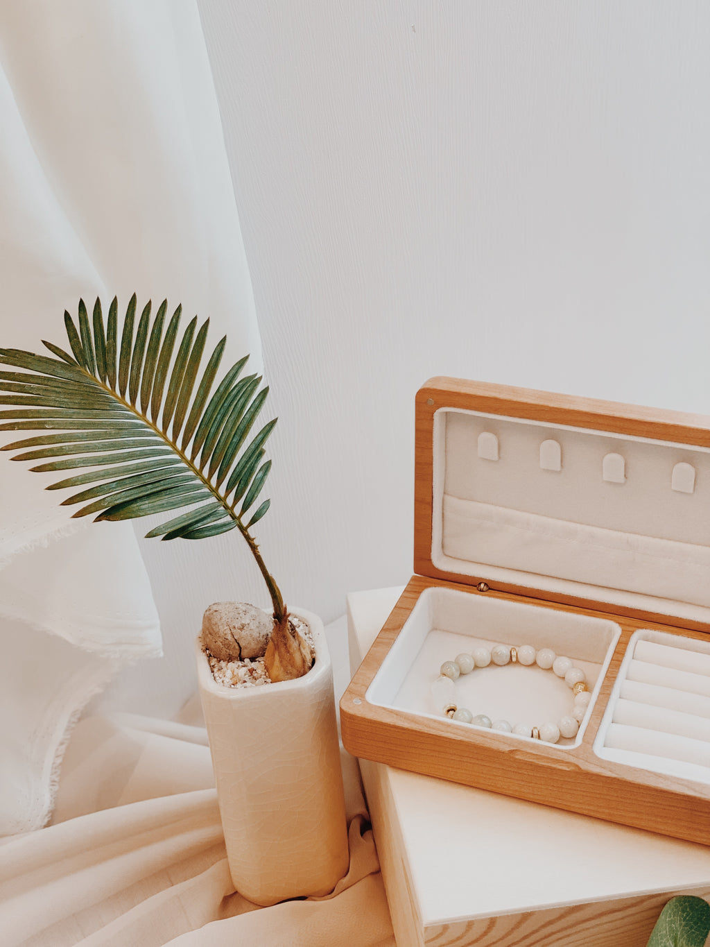TREASURECOVE | Jewel Box